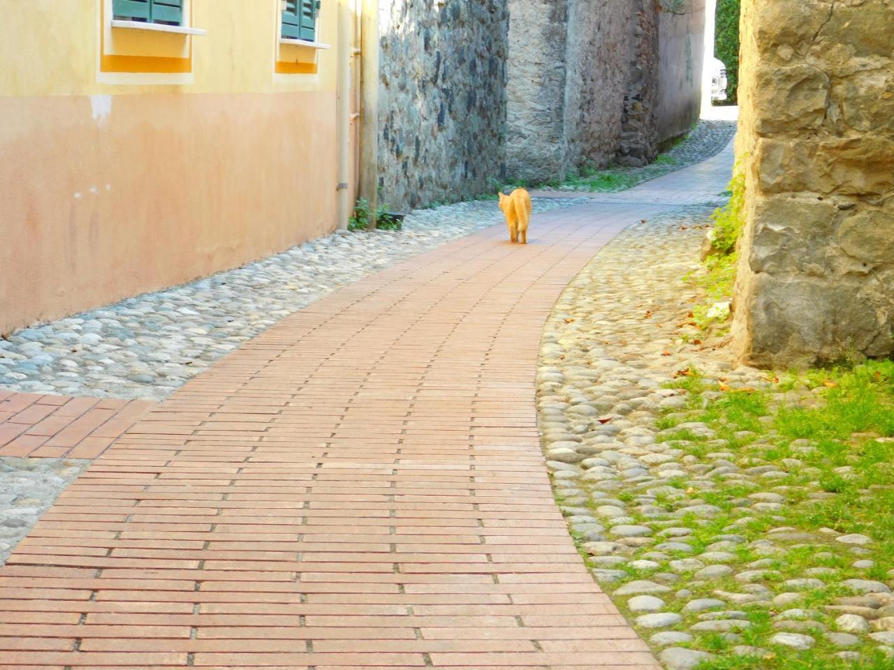 Bellissima Casa Nel Centro Storico!!! Lägenhet Levanto Exteriör bild